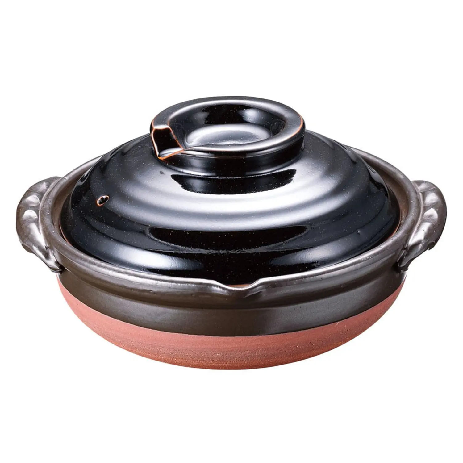 Japanese Hot Pot Dishes